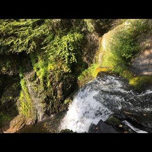 Meet your Posher, Irene